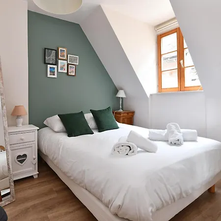 Appartement Beraweka Avec Climatisation Et Salle De Sport Colmar Exterior photo