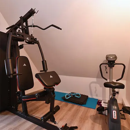 Appartement Beraweka Avec Climatisation Et Salle De Sport Colmar Exterior photo