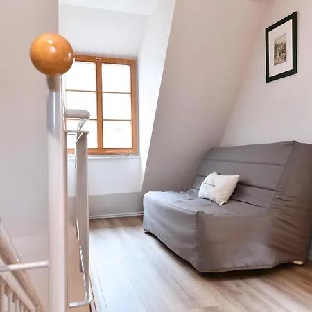 Appartement Beraweka Avec Climatisation Et Salle De Sport Colmar Exterior photo